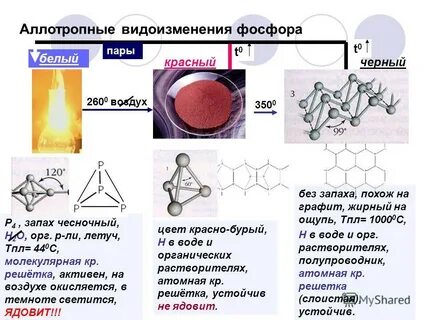 Аллотропия неметаллов на примере углерода