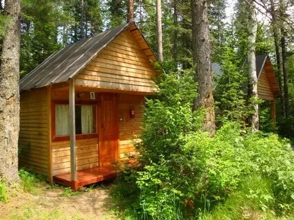 Исток алтайский