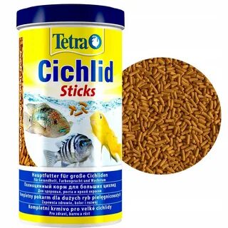 Тетра цихлид