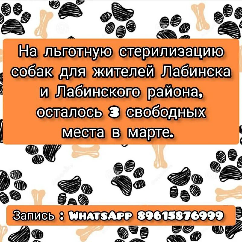 доска бесплатных объявлений лабинск мобильное приложение. мобильное приложение. добавить объявление. лабинск ру. доска бесплатных объявлений лабинск мобильное приложение.
