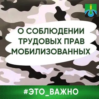 Правовая мобилизация