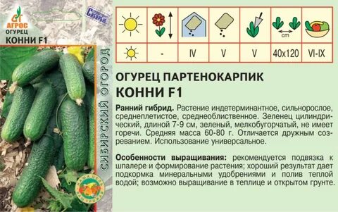 Огурец конни характеристика и описание