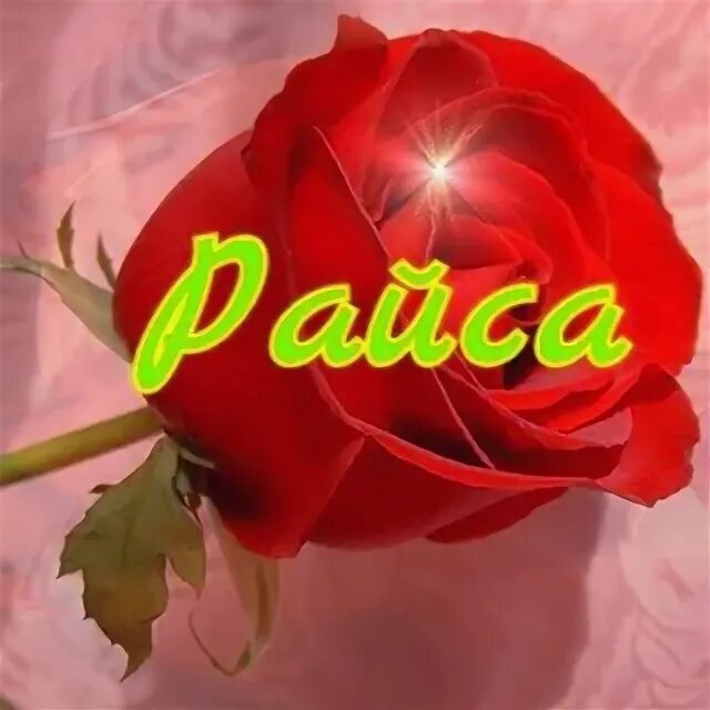 Д райса. Имя райса. открытки с именем райса.