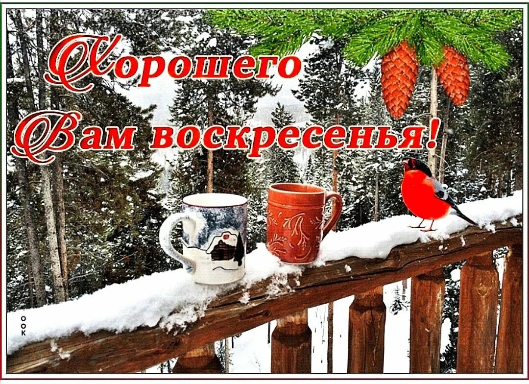 Чудесного морозного дня