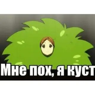 Я кустов услышал чаща