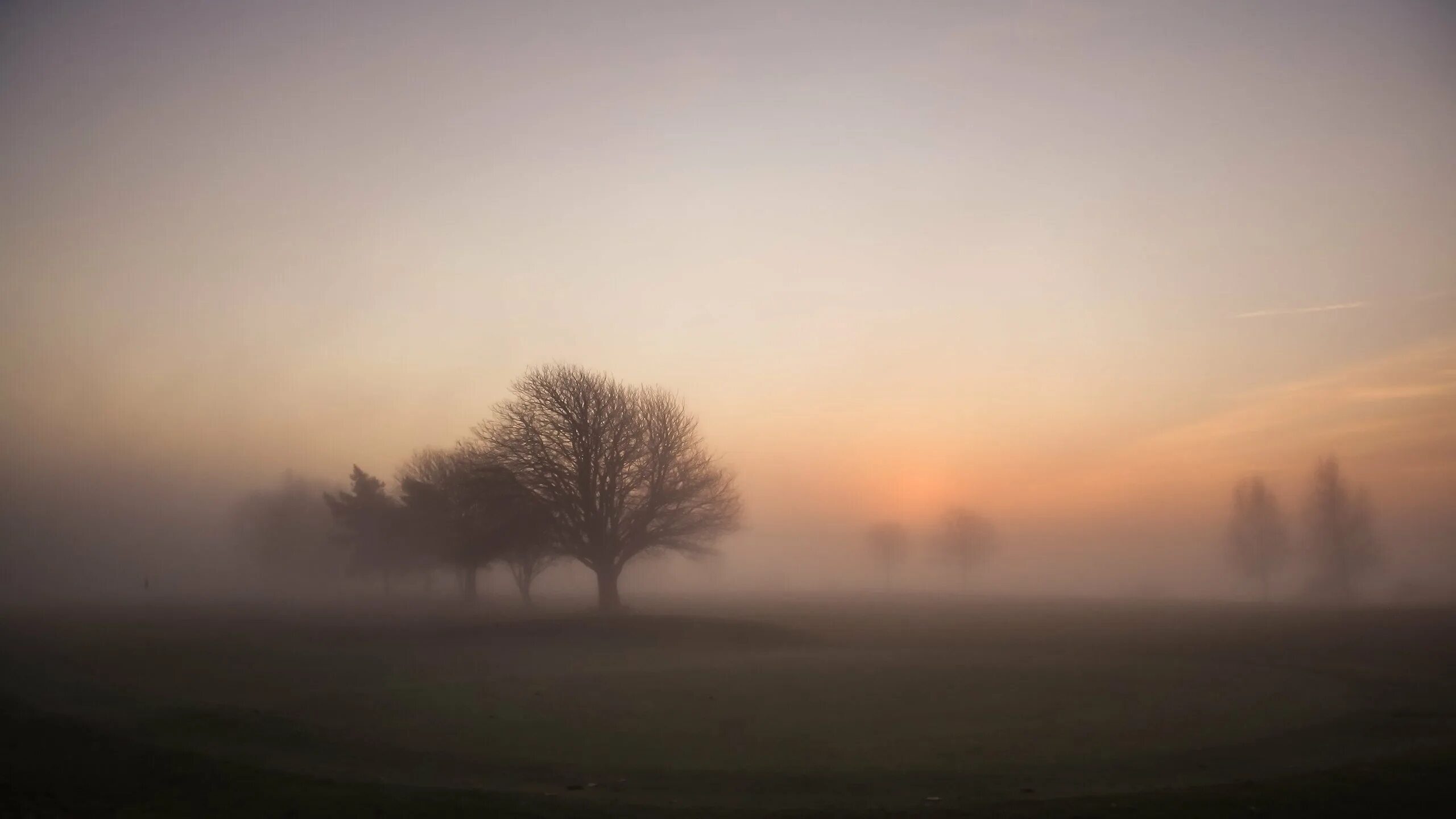 Утренний туман начинал слегка текст. Туманный пейзаж. Нейтральный пейзаж. Туманное утро. Поле в тумане.