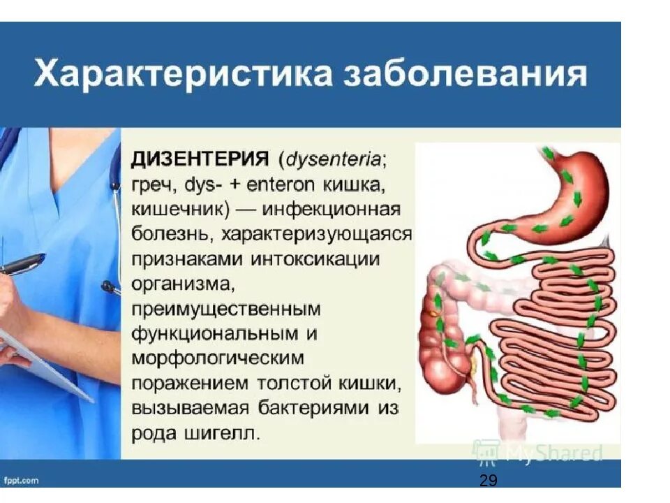 Характеристика болезни дизентерия. Дизентерия инфекционные болезни. Острые кишечные заболевания дизентерия. Дизентерия вирусное заболевание