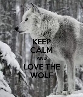 Wolf against