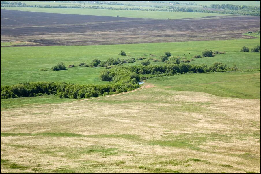 Верховья суры пензенская область заповедник. Приволжская лесостепь пензенская область. Заповедник приволжская лесостепь в пензенской области. Заповедник приволжская лесостепь пенза. Приволжская лесостепь заповедник.