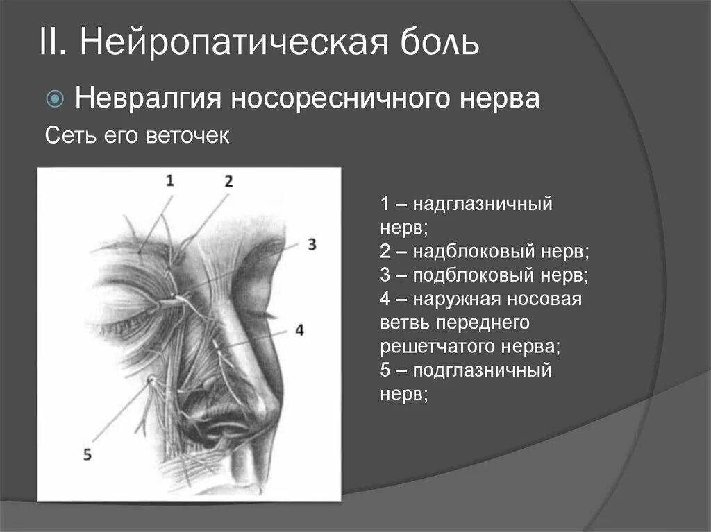 Подглазничный нерв топография. Наружная носовая ветвь переднего решетчатого нерва. Невралгия промежуточного нерва. Тройничный нерв височные ветви.