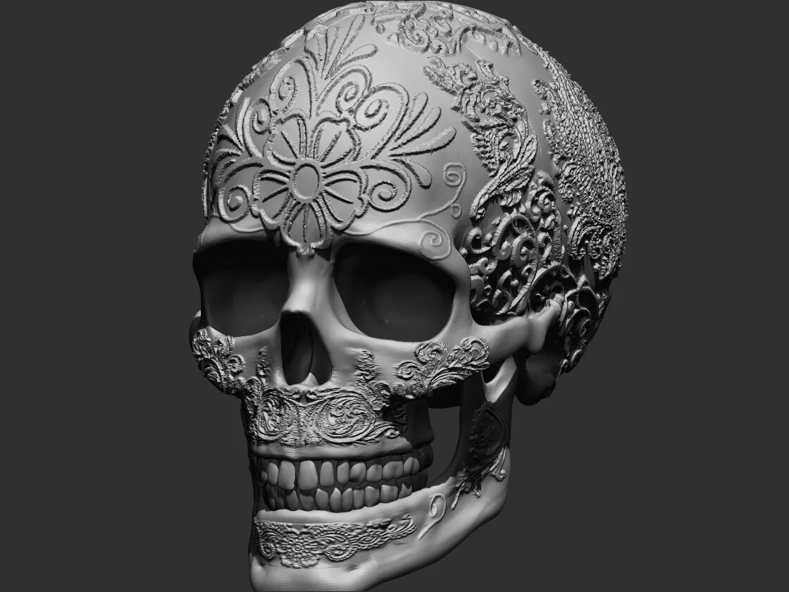 Skull model