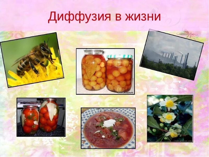 Ответы : чем важна деффузия для людей