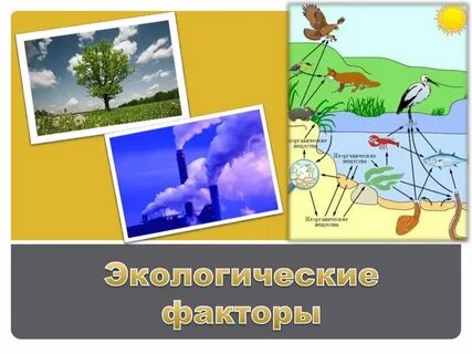 Экологические факторы жизни человека