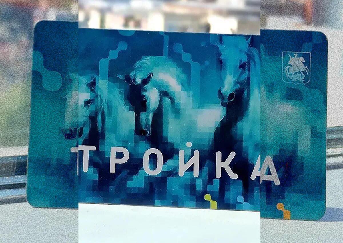 Лояльность тройки. Карта тройка реклама. Карта тройка активный гражданин. Карта тройка с животными. Карта тройка дизайн.