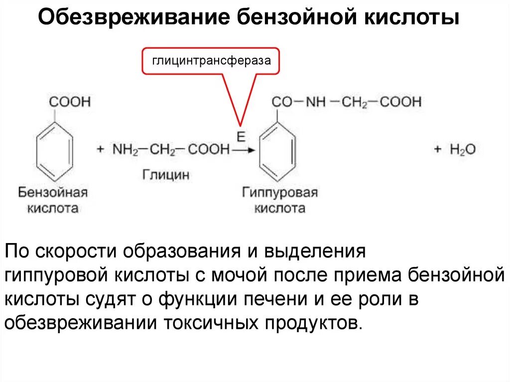 Обезвреживание бензойной кислоты. Реакция обезвреживания бензойной кислоты. Обезвреживание бензойной кислоты в печени. Бензойная кислота способ обезвреживания.