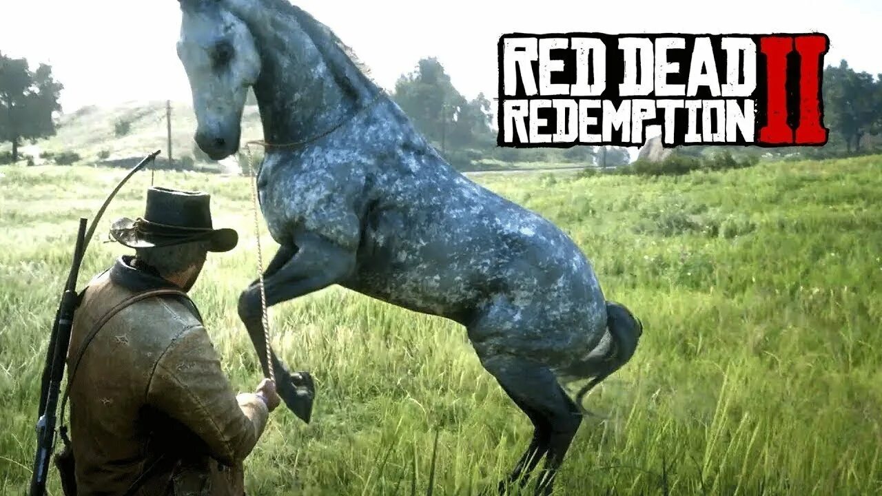 Кони в рдр 2. Red Dead Redemption 2 чистокровная верховая. Red Dead Redemption 2 чистокровная лошадь. Теннессийская лошадь Red Dead Redemption. РДР 2 чистокровная верховая лошадь.