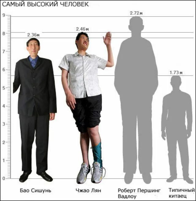 5 foot 10. Метр по сравнению с человеком. Рост человека сравнение. По сравнению с человеком. Сопоставление роста людей.