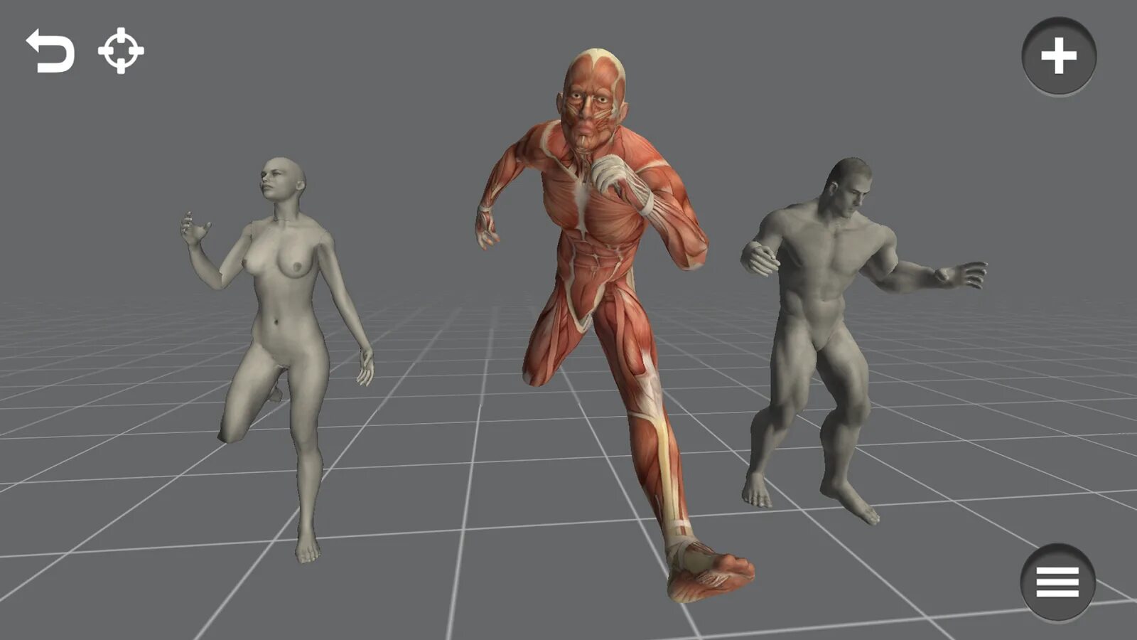 Pose tool 3d. Pose tool. figure 1 приложение. 3d poses. wolf pose tool 3d.