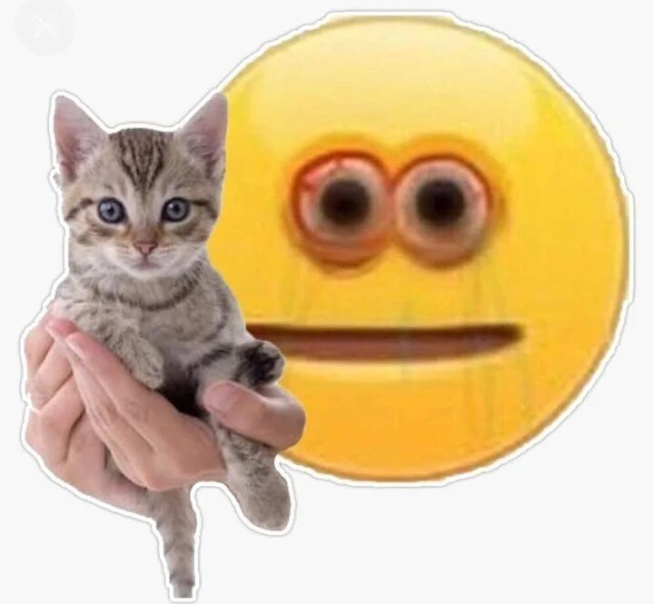 Кот с руками мем Pin by Akarasu on Memes Funny animal memes, Kids cough, Funny memes