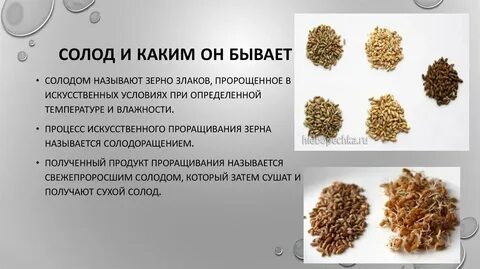 Сколько солода