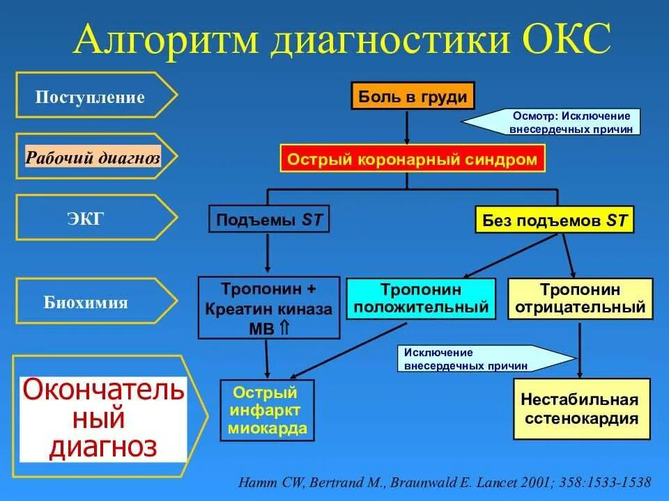 Тесты с ответами острый коронарный синдром. Алгоритм при остром коронарном синдроме. Этапы постановки диагноза Окс. Острый коронарный синдром первая помощь алгоритм. Острый коронарный синдром алгоритм.