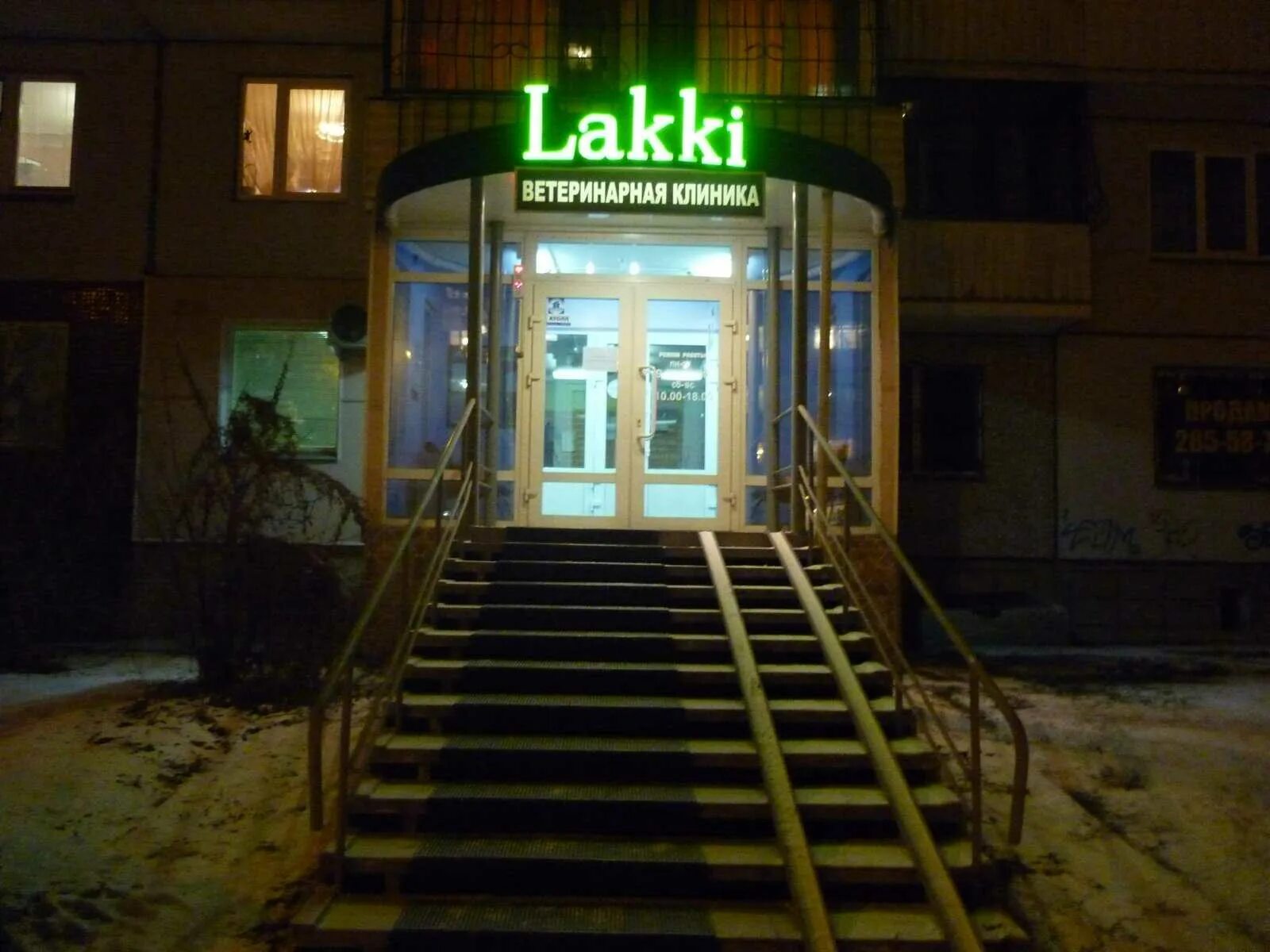 Белый пудель красноярск. Лакки красноярск ветклиника. Ветклиника лаки красноярск коломенская. Лакки красноярск ветклиника. Номер ветеринарной клиники красноярск.