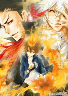 Katekyo hitman reborn