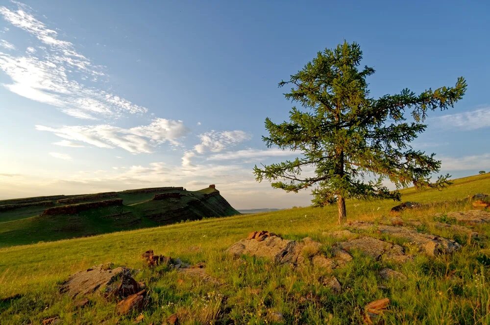 работу красноярский край хакасия