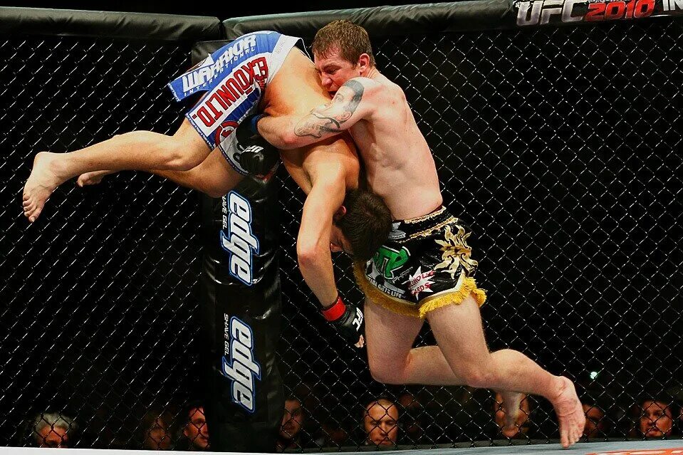 правильный поединок