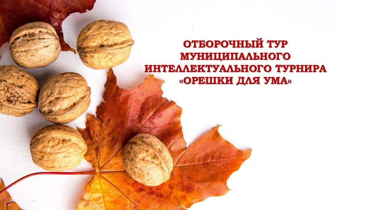 орешки для ума улан удэ 2023. орешки для ума улан удэ 2023. орешки для ума улан удэ 2023. орешки со сгущенкой реклама. орешки для ума улан удэ 2023.