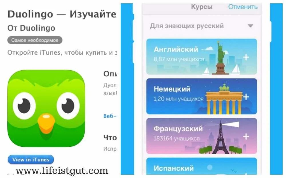 Бесплатное приложение для английского языка с нуля. Приложения для изучения английского языка. мобильные приложения для изучения иностранных языков. приложение учить английский. программа duolingo.