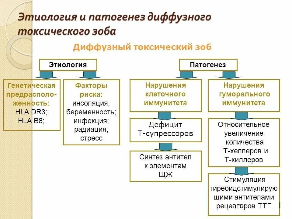 Диффузный токсический зоб этиология. Диффузный тиреотоксический зоб этиология. Патогенез болезни Грейвса схема. Основные патогенетические механизмы развития ДТЗ. Диффузные факторы