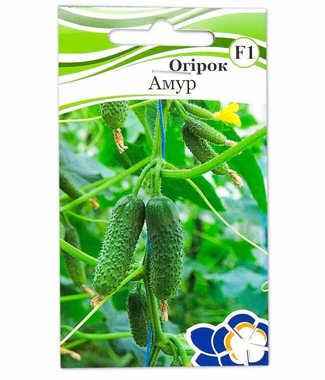 Огурцы амур описание сорта фото. Огурец амур f1. семена огурцов амур. огурец амур сибирский сад.