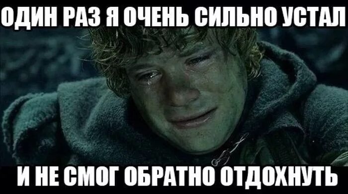 я ни разу не. стишки депрессяшки. приколы про бабушкиных внуков и котов. не один или ни один. не раз ни раз.