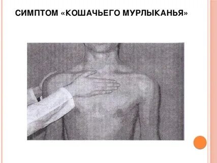 Кошачье мурлыканье