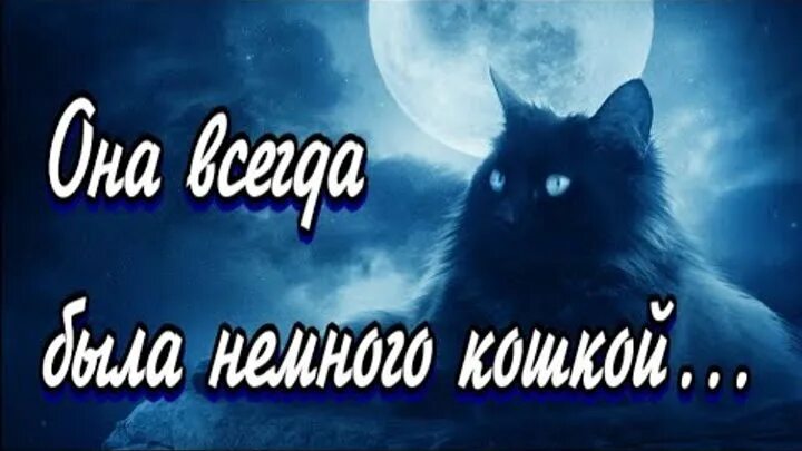 Она всегда была кошкой. Она всегда была немного кошкой. Она всегда была немного кошкой она любила спать и молоко.