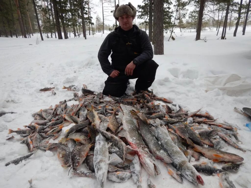 Рыбалка в курганской области