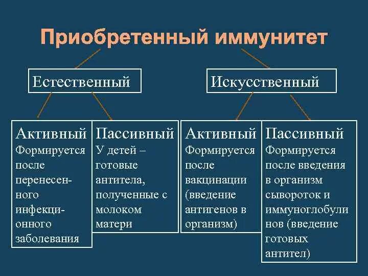 Активный естественно приобретенный иммунитет. Механизм формирования искусственного активного иммунитета. Активный приобретенный иммунитет примеры. Искусственный активный и пассивный виды иммунитета,. Пассивный приобретенный иммунитет.