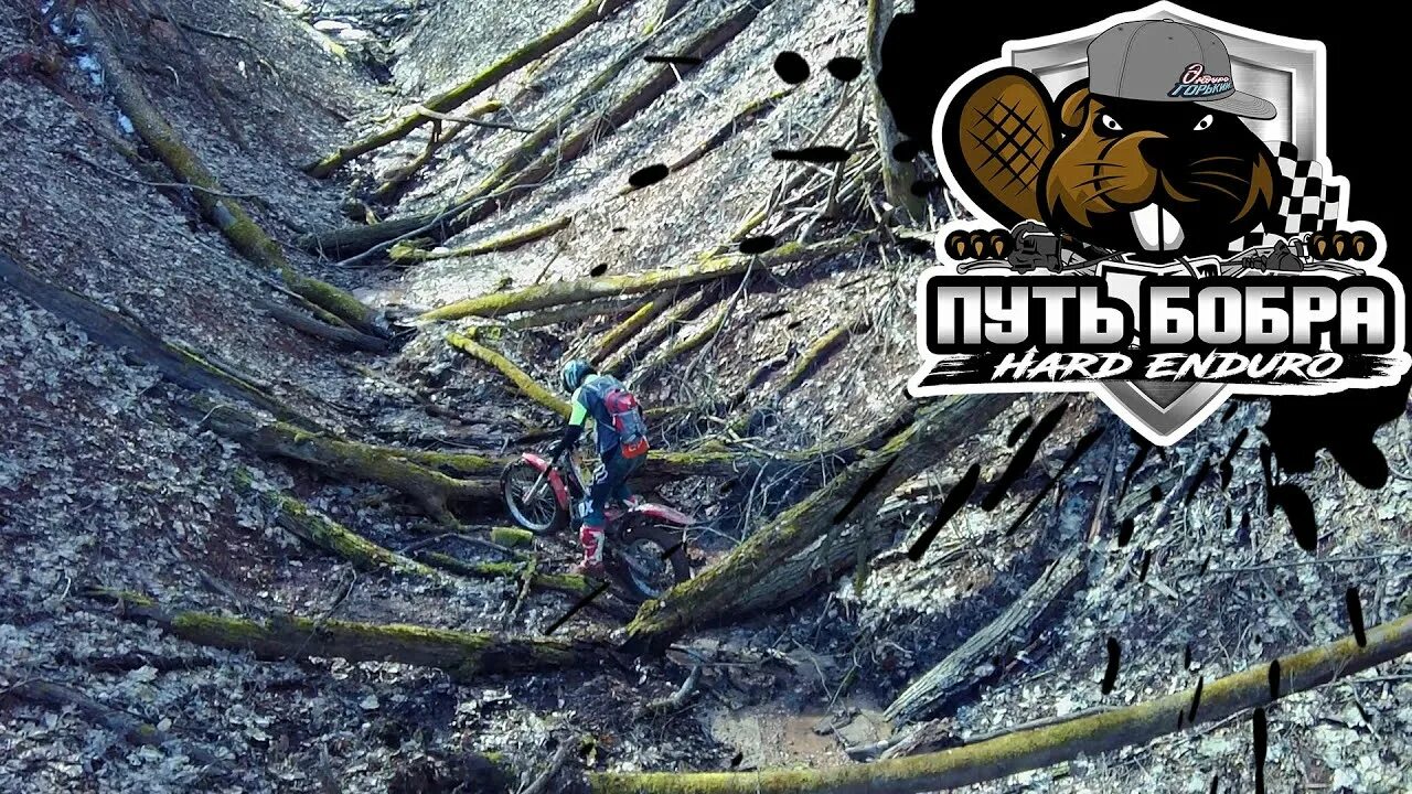 Путь бобра. Путь бобра 2025 эндуро. эндуро горький путь бобра 2025. enduro горький. эндуро путь бобра 2025.