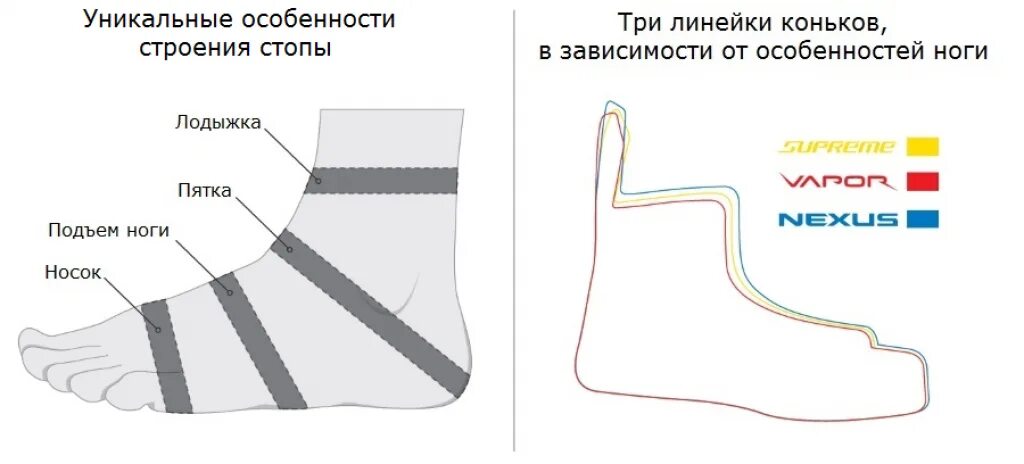 Подъем стопы. Измерить полноту стопы для коньков. Полнота ноги для коньков. Измерить ногу для коньков.