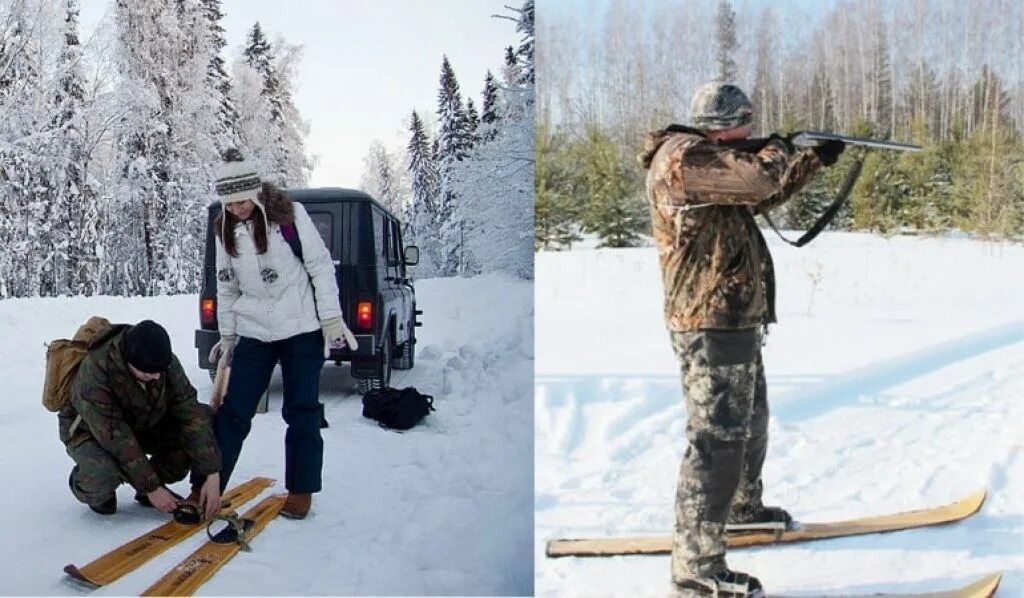 Как правильно выбрать лыжи для охоты. Камусные лыжи. Лыжи nlf охотник дерево-пластик. Таблица выбора охотничьих лыж по весу охотника. Охотничьи лыжи пластиковые с противооткатом.