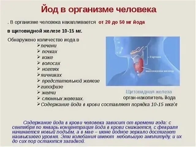 Тест йодом на недостаток йода. Содержание йода в организме человека. Функции йода в организме человека. Йод в теле человека.