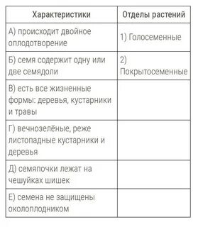 Установите соответствие вид растений отдел