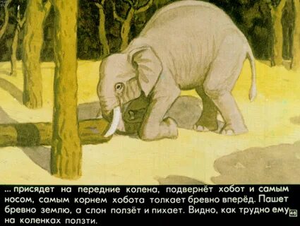 Главная мысль про слона