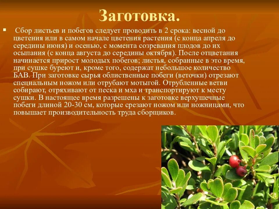 Сбор листьев