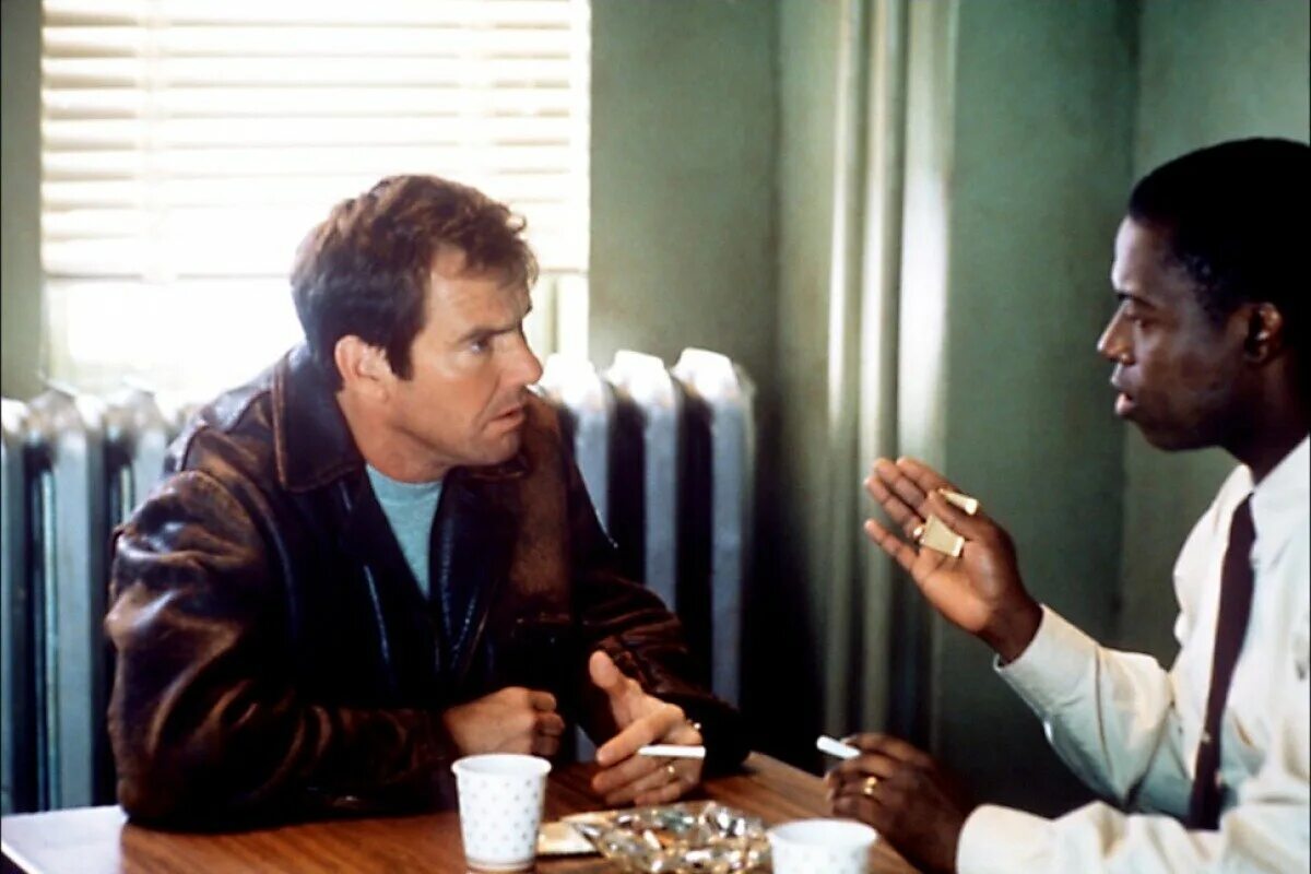 радиоволна 20