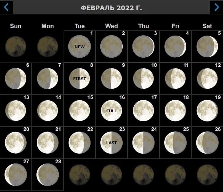 Какой лунный день 20 лунную. Moon calendar 2022 lunar calendar 2022. новолуние и полнолуние в 2022. лунный календарь 2022 новолуние. календарь новолуний и полнолуний на 2022.