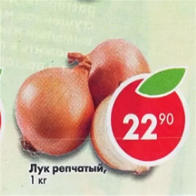 акции лук. магнит зелёный лук упаковка. лук зеленый калорийность. акции лук. магазин да лук.