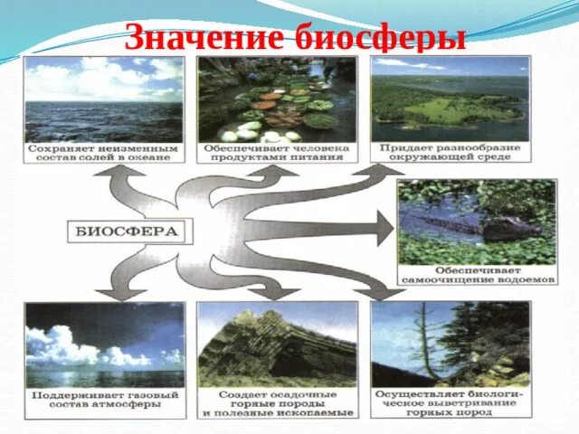 Состав биосферы 6 класс география. Значимость биосферы. Биосфера сфера жизни презентация. Биосфера оболочка жизни. Биосфера и человек схема.