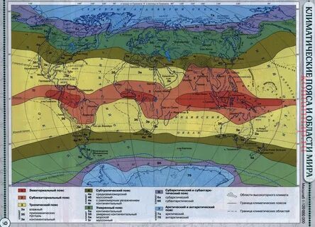 Природные зоны географических поясов